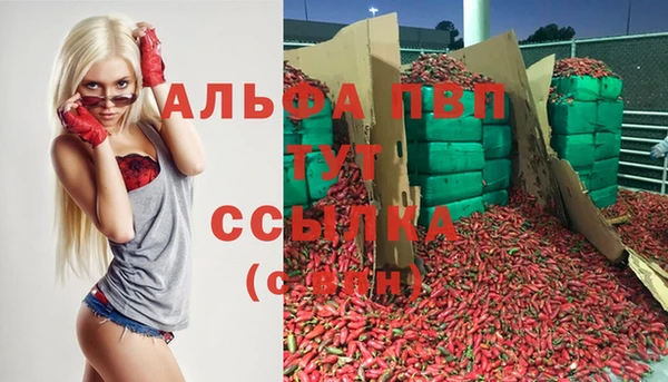 прущий лед Михайловск