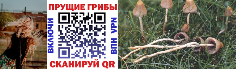 Галлюциногенные грибы мицелий  Барнаул 